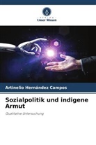 Artinelio Hernández Campos - Sozialpolitik und indigene Armut
