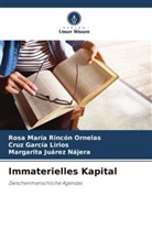 Cruz García Lirios, Juá, Margarita Juárez Nájera, Rosa María Rincón Ornelas - Immaterielles Kapital
