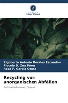 Rosa F. García Ozuna, Rigoberto Antonio Morales Escandón, Flo Zea Perez, Flocelo D. Zea Perez - Recycling von anorganischen Abfällen