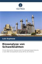 Luis Espinoza - Rissanalyse von Schweißnähten