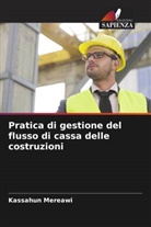 Kassahun Mereawi - Pratica di gestione del flusso di cassa delle costruzioni