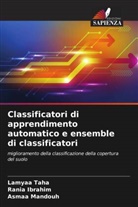 Rania Ibrahim, Asmaa Mandouh, Lamyaa Taha - Classificatori di apprendimento automatico e ensemble di classificatori