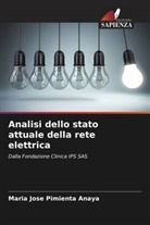 Maria Jose Pimienta Anaya - Analisi dello stato attuale della rete elettrica