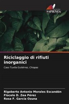 Rosa F. García Ozuna, Rigoberto Antonio Morales Escandón, Flocelo D. Zea Perez - Riciclaggio di rifiuti inorganici