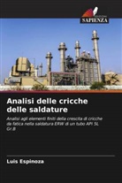 Luis Espinoza - Analisi delle cricche delle saldature