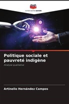 Artinelio Hernández Campos - Politique sociale et pauvreté indigène