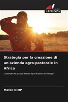 Mafall Diop - Strategia per la creazione di un'azienda agro-pastorale in Africa