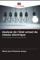 Maria Jose Pimienta Anaya - Analyse de l'état actuel du réseau électrique