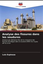 Luis Espinoza - Analyse des fissures dans les soudures