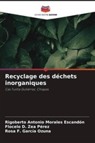 Rosa F. García Ozuna, Rigoberto Antonio Morales Escandón, Flocelo D. Zea Perez - Recyclage des déchets inorganiques