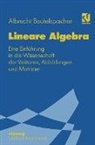 Albrecht Beutelspacher - Lineare Algebra