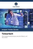 Joaquín Toledo Zavala - Telearbeit