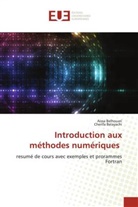 Cherifa Belayachi, Aissa Belhouari - Introduction aux méthodes numériques