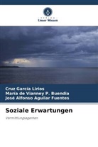 Ag, José Alfonso Aguilar Fuentes, Cruz García Lirios, María de Vianney P Buendia, María de Vianney P. Buendia - Soziale Erwartungen