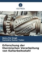 Netra Pal Singh, Surendra Kumar Yadav - Erforschung der thermischen Verarbeitung von Kaltarbeitsstahl