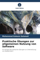 Mohammad Kaleem Galamali - Praktische Übungen zur allgemeinen Nutzung von Software