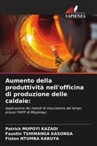 Patrick Mupoyi Kazadi, Fiston Ntumba Kabuya, Faustin Tshimanga Kasonga - Aumento della produttività nell'officina di produzione delle caldaie: