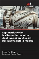 Netra Pal Singh, Surendra Kumar Yadav - Esplorazione del trattamento termico degli acciai da utensili per lavorazioni a freddo