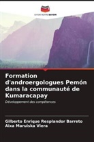 Gilberto Enrique Resplandor Barreto, Aixa Maruiska Viera - Formation d'androergologues Pemón dans la communauté de Kumaracapay