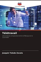 Joaquín Toledo Zavala - Télétravail