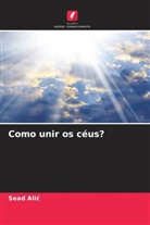 Sead Ali¿, Sead Alic - Como unir os céus?