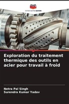 Netra Pal Singh, Surendra Kumar Yadav - Exploration du traitement thermique des outils en acier pour travail à froid