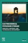 Yang Xu, Yang Xu, Yang (University College London XU - Electrochemical Potassium Storage