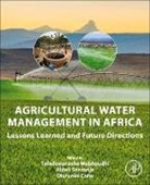 Olufunke Cofie, Tafadzwanashe Mabhaudhi, Aidan Senzanje - Agricultural Water Management in Africa