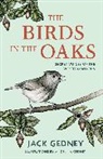 Jack Gedney, Angelina Gedney - The Birds in the Oaks