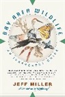 Jeff Miller, Obi Kaufmann - Bay Area Wildlife