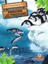 Amy Culliford - Les Pingouins (Penguins) Bilingual Eng/Fre