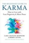 Mordy Levine, Lama Levine Lhanang, Lama Lhanang Rinpoche - Beginners Guide to Karma