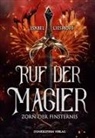 Isabel Lieshoff - Ruf der Magier - Zorn der Finsternis
