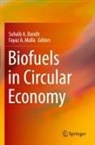Suhaib A Bandh, A Malla, Suhaib A Bandh, Suhaib A. Bandh, Fayaz A Malla, Fayaz A. Malla - Biofuels in Circular Economy
