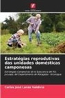 Carlos José Lanza Valdivia - Estratégias reprodutivas das unidades domésticas camponesas
