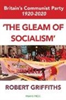 Robert Griffiths - 'The Gleam of Socialism'