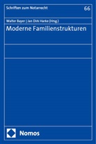 Walter Bayer, Dirk Harke, Jan Dirk Harke - Moderne Familienstrukturen