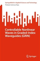 Thokala Soloman Raju - Controllable Nonlinear Waves in Graded-Index Waveguides (GRIN)