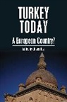 Olivier Roy, Olivier Roy - Turkey Today