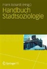 Frank Eckardt - Handbuch Stadtsoziologie