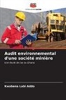 Kwabena Labi Addo - Audit environnemental d'une société minière