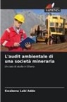 Kwabena Labi Addo - L'audit ambientale di una società mineraria