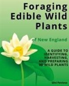 Silvi Pavlova - Foraging Edible Wild Plants of New England