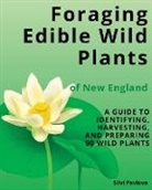 Silvi Pavlova - Foraging Edible Wild Plants of New England