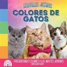 Rainbow Roy - Arcoiris Junior, Colores de Gatos