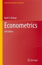 Badi H Baltagi, Badi H. Baltagi - Econometrics