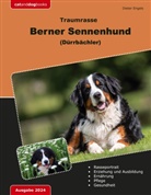 Dieter Engels - Traumrasse Berner Sennenhund