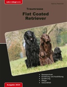 Sabrina Meierkott - Traumrasse Flat Coated Retriever