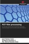 Gregorio Gonzalez Z, Juan Ramos Cano, Ma. Gloria Rosales Sosa - PZT film processing