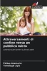 F¿l¿u¿ Anamaria, Falau_ Anamaria, Tomoiag¿ Ligia, Tomoiaga Ligia - Attraversamenti di confine verso un pubblico misto